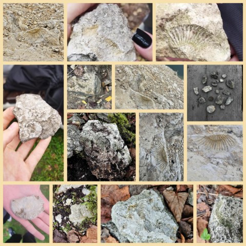 Warsztaty geologiczne klasy 3f