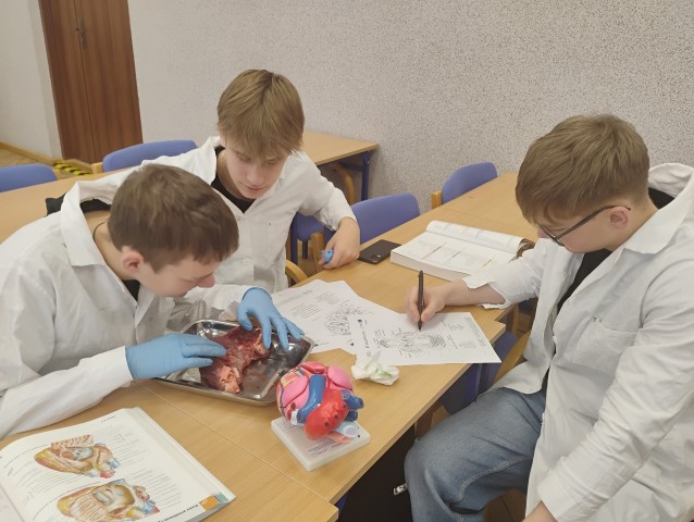 Koło naukowe z biologii