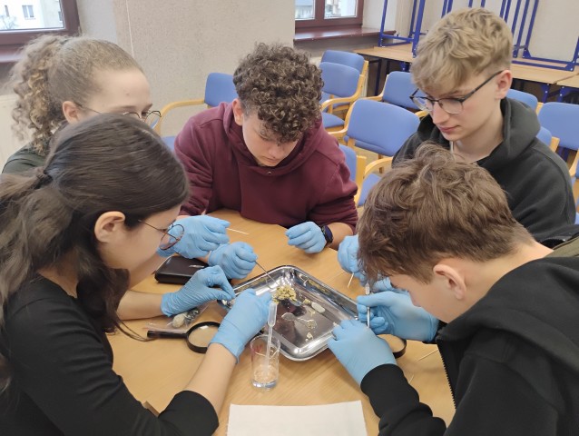 „Znalazłam/em dzikie zwierzę, co zrobić?”