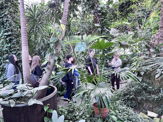 Palmiarnia w Gliwicach